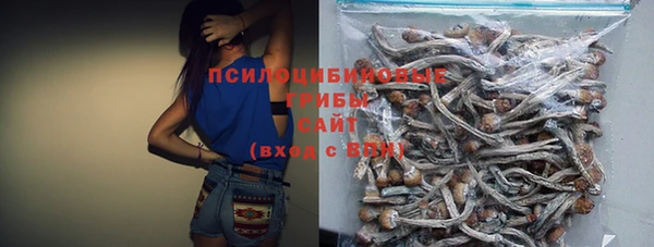 таблы Инсар