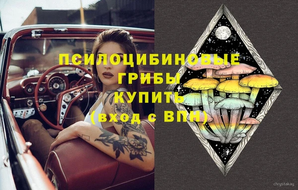 таблы Инсар
